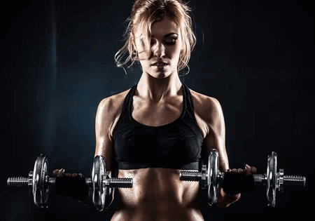 Full Body Workout